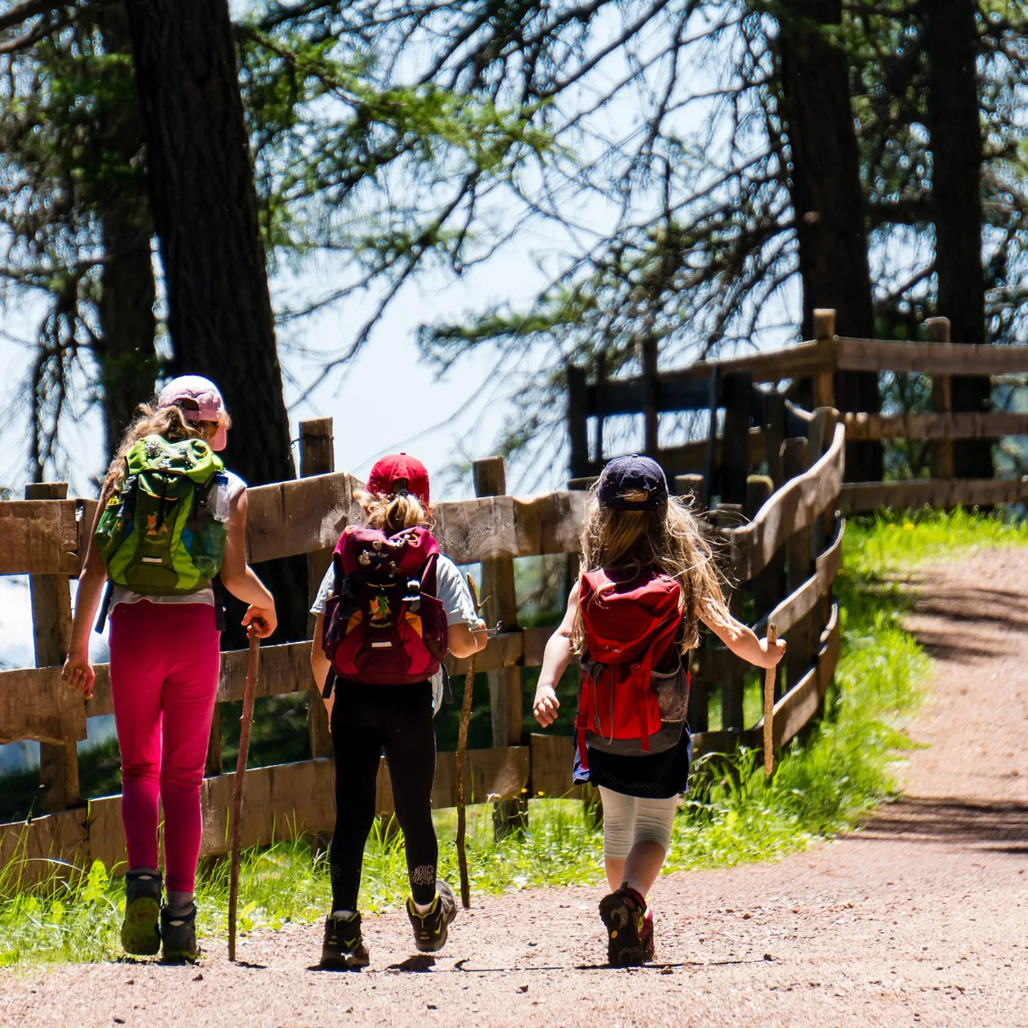 Three hikers with daypacks walk a forest path past a wooden fence